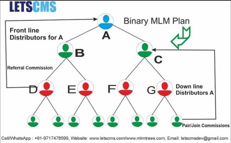 Binary MLM Plan, Affiliate Software