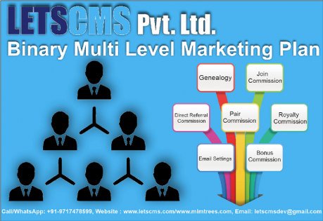 MLM Binary Plan PHP Script Software