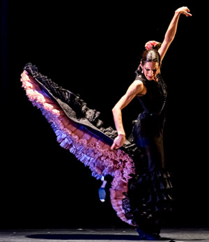 2/14～2/25フラメンコの祭典「Flamenco Festival」